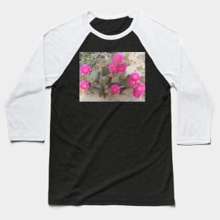 Beavertail cactus, nature, gifts, Desert Beauty Baseball T-Shirt